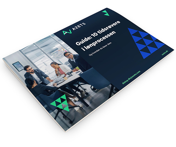 tidsrøvere i lønprocessen guide